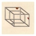 Impossible Shape