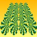 Watermelons